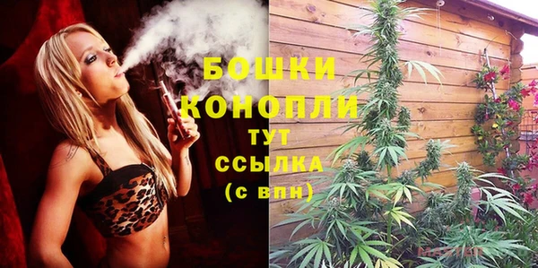 твердый Володарск