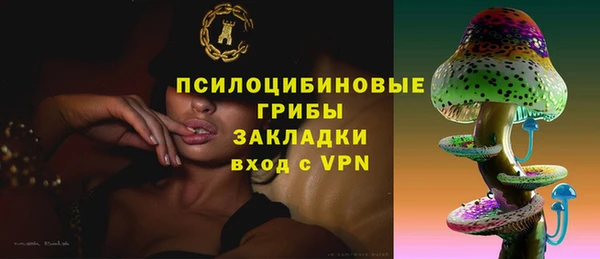 твердый Володарск