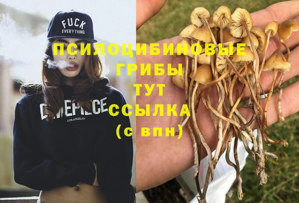 альфа пвп Волоколамск