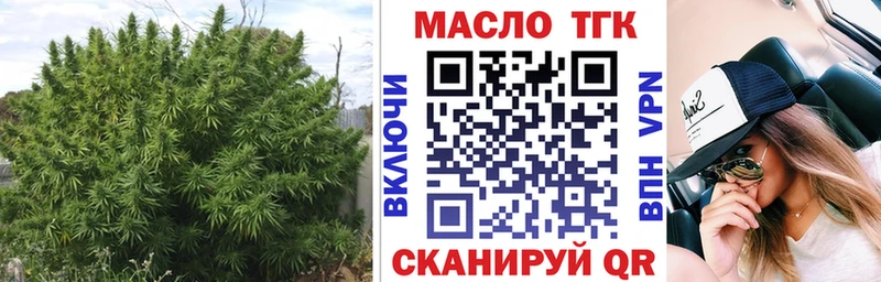 Купить закладки Менделеевск ТГК концентрат